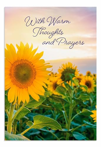 DaySpring - Sympathy - 4 Design Assortment with King James Scripture - 12 Sympathy Boxed Cards & 12 Envelopes (U1612)
