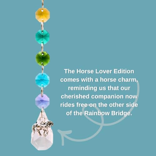 Pet Perennials Horse Suncatcher – Crystal Rainbow Prism with Angel Wings & Charm – Horse Loss Gifts for Window Display – Memorial Ornament for Equine Remembrance & Sympathy