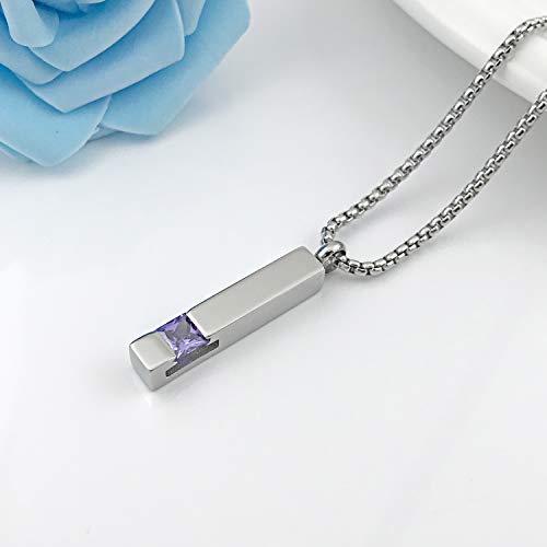 YOUFENG Urn Necklaces for Ashes Birthstone Cube Urns for Human Ashes Memorial Cremation Urn Locket Keepsake Ashes Jewelry - style: Silver - February