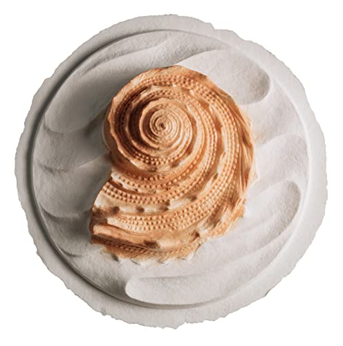 Biodegradable Urn for Scattering Cremated Ashes in Ocean Water, Ground or Sea Burial, Earth Friendly Eco Urn for Human Ashes (Oceanside Shell Coral Floating Urn) - color: Oceanside Shell Coral Floating Urn