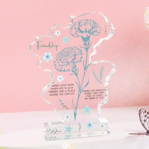 Best Friend Friendship Gifts For Women Friends Women Friend Gift Flower Acrylic Delicate Gift for Best Friend Bestie Thanksgiving Birthday Christmas Gifts - color: Firendship