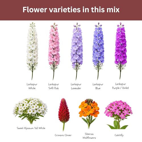 Butterfly and Hummingbird Wildflower Mix – 30,000+ Seeds – 1 oz Bulk Extra Large Resealable Packet – Non-GMO Open Pollinated Wildflower Seeds