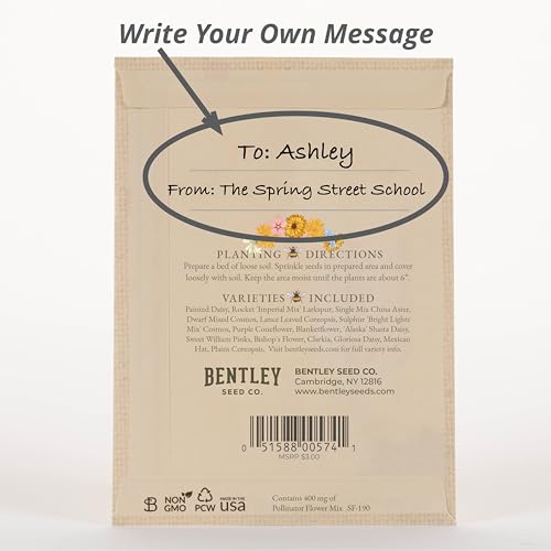 Bentley Seed Co. | Bee Kind Pollinator | Beautiful Bee Art | Environmental Favors Cards for Guests Seed Packets | Pollinator Wildflower Mix Seed Packets | Eco-Friendly Hand Out Gift | 25 Pack - style: Bee Kind