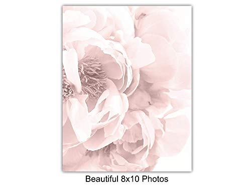 Memorial Gift for Loved Ones - Encouragement Remembrance Gift for Dog, Cat, Pet Owner - Remember Me Wall Art, Sentimental Room Decor, Home Decoration - 8x10 Floral Poster Photo Set UNFRAMED