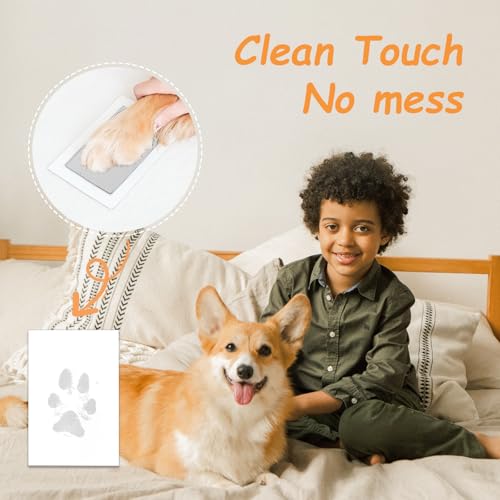 DeerZone Inkless Paw Print Kit,Dog Paw Print Kit,Dog Nose Print Kit - color: Gold/Silver, size: Medium-Large 4 Pack