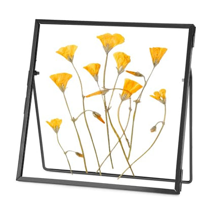 REDHUGO Double Glass Frame for Pressed Flowers, Square, Black, 4x4 Inches - color: Black, size: 4L" x 4W"
