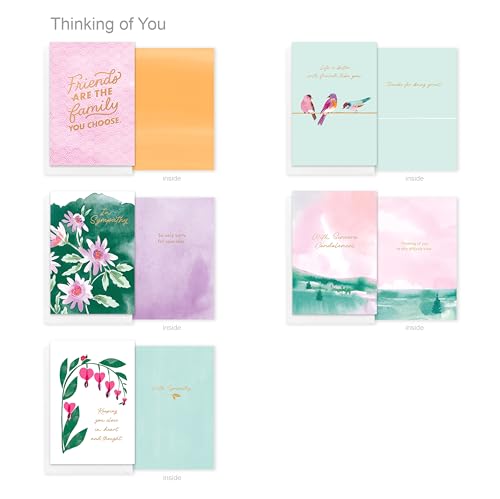 American Greetings 15-Count Thinking of You Card Bundle with Envelopes- Get Well, Support, Friendship, and Sympathy