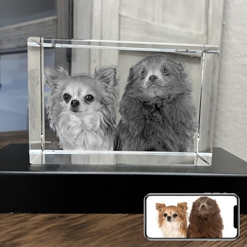 Dog Memorial Gifts for Pet Loss – Personalized Crystal Photo for Dogs & Cats, Custom Laser Etched Crystal (Large Landscape) - size: Large Landscape