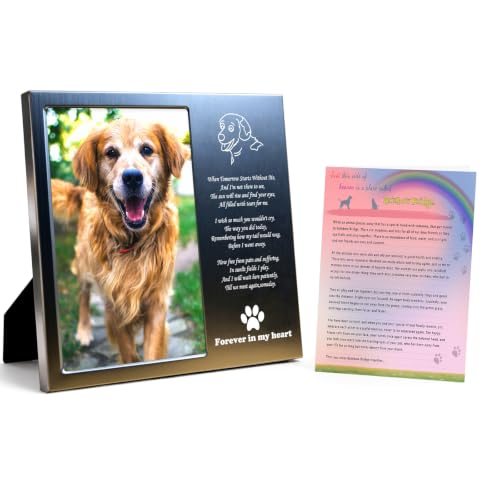 Dog Memorial Picture Frame 4x6, Dog Memorial Gift for loss of Dog (1S) | Angel Rainbow Bridge Prayer Card Included, Premium Aluminum Alloy Material, Packaged in an Elegant Plastic Gift Box - color: Silver - Kind Face