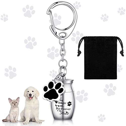 Tudomro Cremation Pet Dog Urns Keychain for Ashes with Storage Bag Stainless Steel Small Cat Paw Memorial Keepsake Jewelry - color: Silver