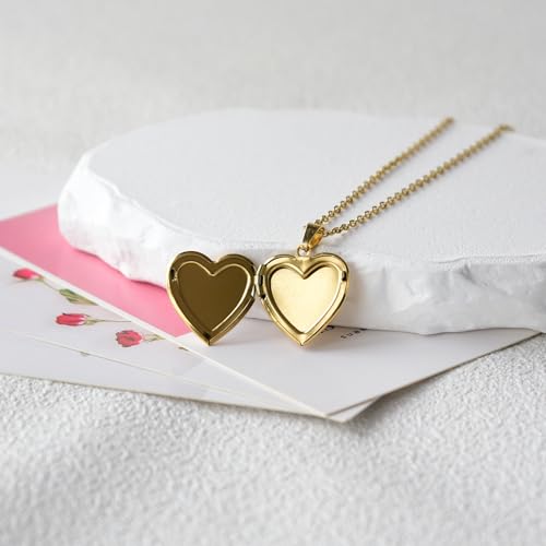 Heart Locket Necklace That Holds Pictures Pressed Flower Photo Locket Pendant Necklace for Girl Women Gift for Her - style: Gold-Pink Forget me not