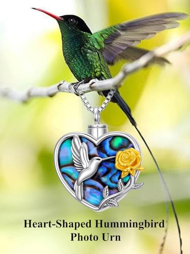 WINNICACA Cremation Jewelry for Ashes Locket Ashes Necklace Urn Necklace for Women Sterling Silver Cremation Necklace for Ashes Fine Keepsake Picture Necklace Memorial Jewelry - style: D01-Hummingbird Urn Necklace(Abalone)