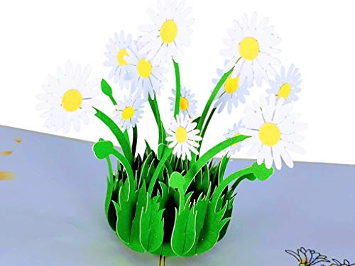 iGifts And Cards White Daisy Bouquet 3D Pop-Up Card in Full Bloom 4.75x6.75 | Spring Floral Keepsake, Mother's Day, Get Well, Sympathy, Birthday For Her, Garden Lover, Wife, Friend, Bouquet Design - color: White Daisies