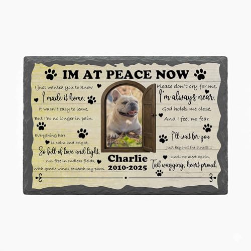 Personalized Pet Memorial Stone for Loss Dogs Cats - color: Memorial 6