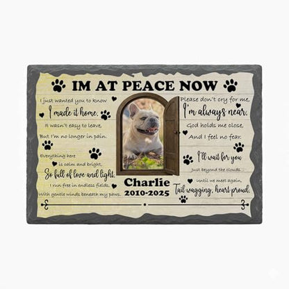 Personalized Pet Memorial Stone for Loss Dogs Cats - color: Memorial 6