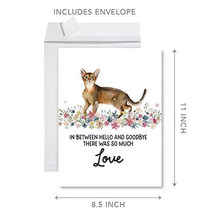 Andaz Press Jumbo Pet Sympathy Card with Envelope, Sorry For Your Loss Card, Abyssinian Cat, Pet Loss, Cat Grief Bereavement Card with Big Blank Space to Send to Friends, Family, 8.5" x 11", 1-Pack - color: Abyssinian Cat