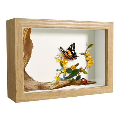 5x7 Wood Color Shadow Box Frame Display Case | With Real Glass for Memorabilia,Wedding Memories,Pins,Awards,Crafts,Tickets and Photos