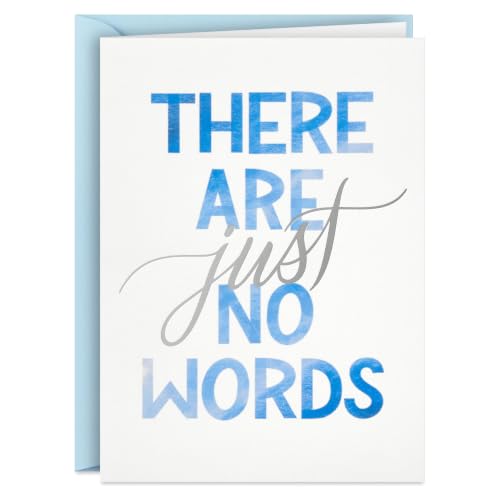 Hallmark Bulk Blank Sympathy Cards with Envelopes, 20-Pack (Just No Words) - color: White, Blue