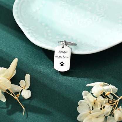 Pet Paw Cremation Jewelry Urn Keychain for Ashes for Women Men Memorial Keepsake Keychain - color: Silver