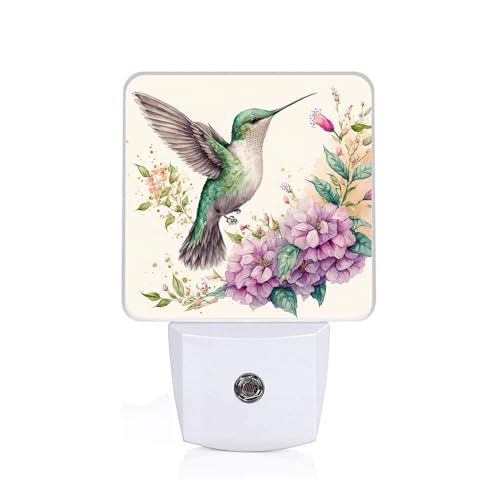 Groovy Hummingbirds Night Light,Flowers Plug-in Night Lights with Dusk-to-Dawn Sensor for Bedroom,Bathroom and Living Room Sleep Friendly lamp 0.5w - color: Groovy Hummingbirds Flowers