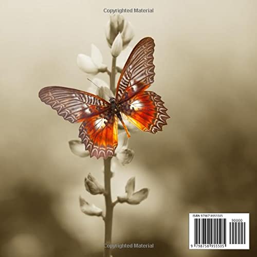 Funeral Guest Books Celebration Of Life: Butterfly Memorial Funeral Guest Book