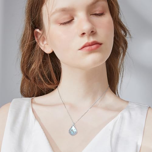 PELOVNY Urn Necklaces for Ashes of Loved Ones 925 Sterling Silver Personalized Heart Locket Urn Necklace Cremation Keepsake Memorial Jewelry Gifts for Women Men - color: Dragonfly Urn-2