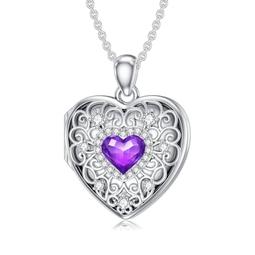 Heart Locket Necklace 925 Sterling Silver Personalized Picture Locket Pendant Birthday Christmas Jewelry Memorial Gifts for Women - color: February Crystal Locket