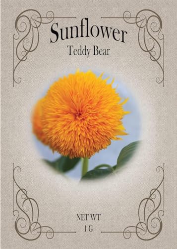 Black Duck Brand Set of Flower Seed Packets! Flower Seeds in Bulk - Great for Creating The Garden of Your Dreams! (25, Teddybear Sunflower) - color: Teddybear Sunflower