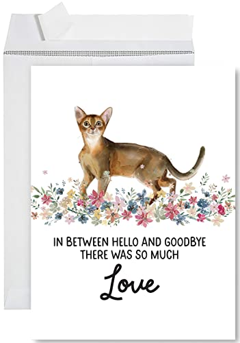 Andaz Press Jumbo Pet Sympathy Card with Envelope, Sorry For Your Loss Card, Abyssinian Cat, Pet Loss, Cat Grief Bereavement Card with Big Blank Space to Send to Friends, Family, 8.5" x 11", 1-Pack - color: Abyssinian Cat