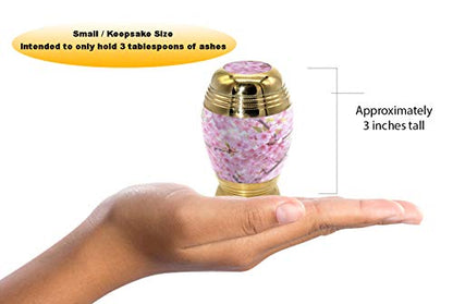 Cherry Blossom Keepsake Urns for Human Ashes with Velvet Gift Box for Cremation Keepsakes for Ashes - Small Cremation Urn and Small Keepsake Urn Set of 4 - color: Cherry Blossom