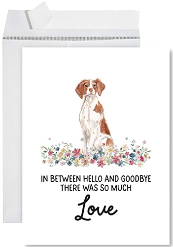 Andaz Press Jumbo Pet Sympathy Card with Envelope, Sorry For Your Loss Card, Brittany, Loss Of Pets, Dog Grief Bereavement Card with Big Blank Space to Send to Friends, Family, 8.5" x 11", 1-Pack - color: Brittany