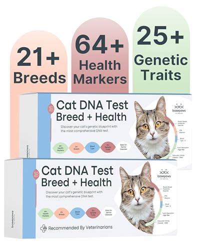Basepaws Cat DNA Test Kit, Breed, Health & Dental Insights (Pack of 2) - size: 2 Count (Pack of 1)