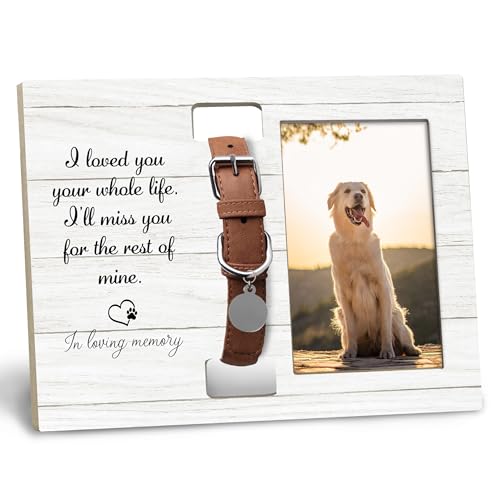 Dog Cat Pet Memorial Picture Frame with Collar Holder, Pet Dog Memorial Loss Sympathy Gifts, I Loved You Your Whole Life I'll Miss You for The Rest of Mine Picture Photo Frames for 4x6 Photo - color: white