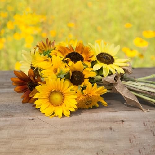 25 Sunflowers for Mom - Happy Mothers Day - Sunflower Seed Packets - style: Sunflowers for Mom