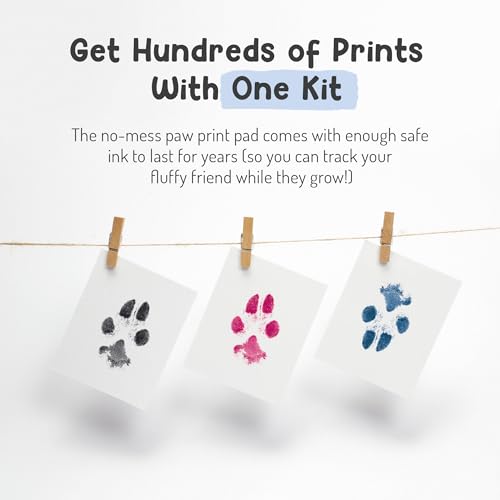 Pet Paw Print Impression Kit | Dog Ink Paw Print Kit | Pet Paw Print Kit | an Easy to Use Paw Print Stamp Pad for Dogs | Contains an Ink Pad for Dog Paw Prints That You Can Treasure (Small Black) - color: Small Black