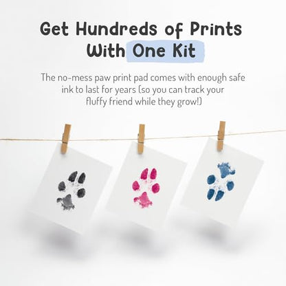 Pet Paw Print Impression Kit | Dog Ink Paw Print Kit | Pet Paw Print Kit | an Easy to Use Paw Print Stamp Pad for Dogs | Contains an Ink Pad for Dog Paw Prints That You Can Treasure (Small Black) - color: Small Black