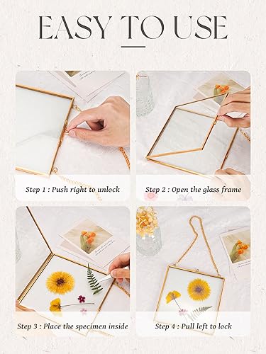 REDHUGO Glass Pressed Flower Frames, Square, Gold, 4x4 Inches - color: Gold, size: 4L" x 4W"