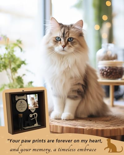 Pet Memorial Gift Shadow Box, 8.6'' Dog Memory Sympathy Gift - color: Brown 8.6x8.6in memorial box