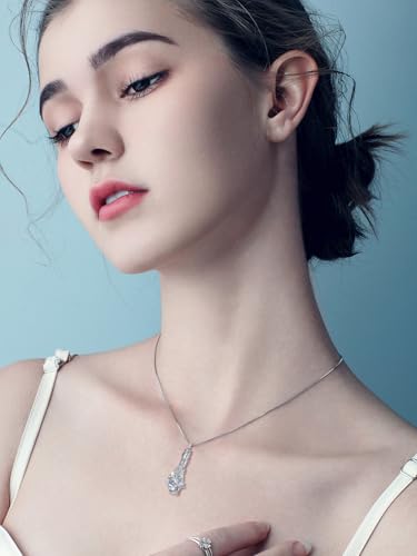 JKR Heart Urn Necklace for Ashes Crystal Keepsake Pendant Memorial Jewelry - style: Dragonfly-Teardrop