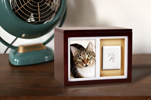 Pearhead Pet Memory Box & Urn - Solid Wood, Espresso Finish, Collars - color: Espresso
