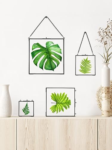 REDHUGO Glass Pressed Flower Frames, Square, Black, 4x4 Inches - color: Black, size: 4L" x 4W"