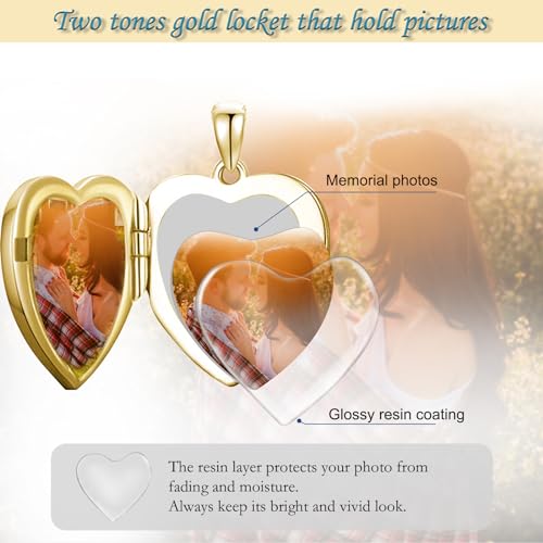 SOULMEET Sunflower/Rose/Daisy Heart Locket Necklace That Holds Pictures Keep Someone Near to You Sterling Silver/Gold Personalized Photo Locket Gift - style: E2-Gold diasy locket+photo