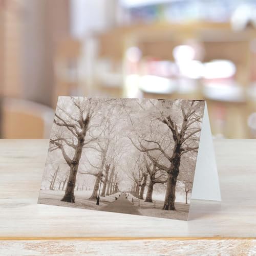 Canopy Street Breathtaking Landscape Note Card Pack / 36 Nature All Occasion Greeting Cards With White Envelopes Set / 6 Colorful Outdoor Scenery Designs / 3 1/2" x 4 7/8" All Occasion Sympathy Cards - color: Breathtaking Landscape