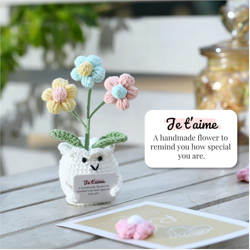 Valentines Day Anniversary I Love You Gifts for Women Her Wife Girlfriend Him Handmade to My Love Crochet Flower Wedding Birthday Gift for Husband Boyfriend Couple with Je t’aime (I Love You) - color: E- Je T’aime (I Love You)