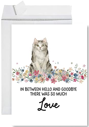 Andaz Press Jumbo Pet Sympathy Card with Envelope, Sorry For Your Loss Card, Ragamuffin Cat Loss Of Pets, Cat Grief Bereavement Card with Big Blank Space to Send to Friends, Family, 8.5" x 11", 1-Pack - color: Ragamuffin Cat