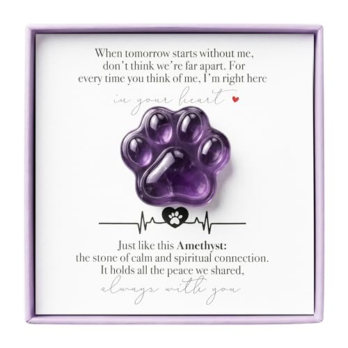 LINGYUAN Amethyst Pet Memorial Gift, Paw Print Keepsake Stone in Gift Box for Loss of Dog or Cat, Sympathy Memorial Keepsake - color: Amethyst Memorial Card