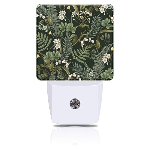 Botanical White Flowers Berries and Green Leaves Night Light, Plug-in Nightlight with Dusk to Dawn Auto Sensor for Home Bedroom Hallway Kitchen 0.5W Sleep Friendly Led Lamp for Women Men - color: Botanical White Flowers Berries and Green Leaves
