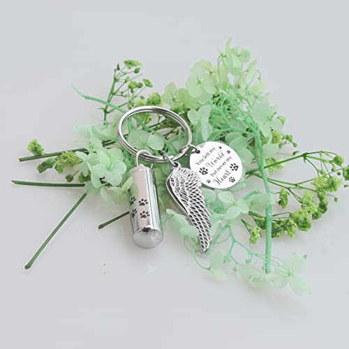 Cylinder Urn Keychain for Ashes Pet Cremation Keychain Dog Ash Necklace Cat Urn Necklace - color: Silver