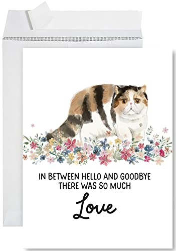 Andaz Press Jumbo Pet Sympathy Card with Envelope, Sorry For Your Loss, Exotic Shorthair Cat, Pet Loss, Cat Grief Bereavement Card with Big Blank Space to Send to Friends, Family, 8.5" x 11", 1-Pack - color: Exotic Shorthair Cat