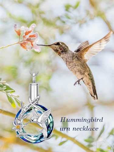 Urn Necklace for Women Sterling Silver Meaningful Memorial Jewelry | Paw Print/Butterfly/Dragonfly/Bird/Dolphin/Mountain/Tree of Life Urn Necklace for Ashes Cremation Keepsake Jewelry for Women - style: Crystal-Hummingbird